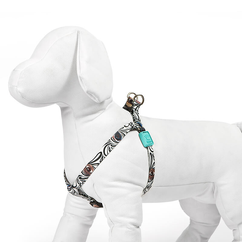 Peitoral para Cachorros Etnias