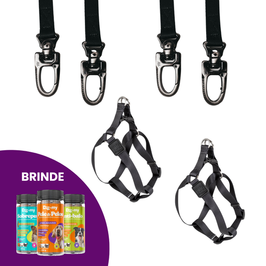 2 Guias + 2 Peitorais - BRINDE