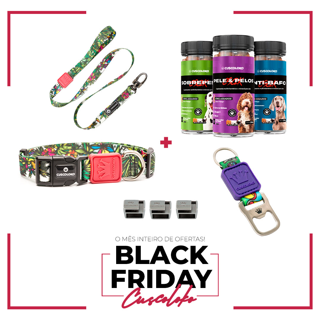 Dog Rolezeiro - Kit Black Friday Cuscoloko
