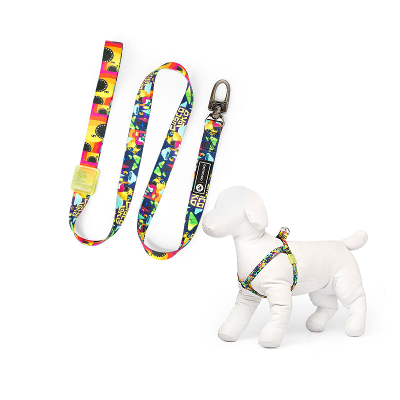 Peitoral e Guia para Cachorros Pax Night