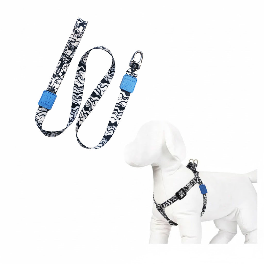 Peitoral e Guia para Cachorros Kiddo