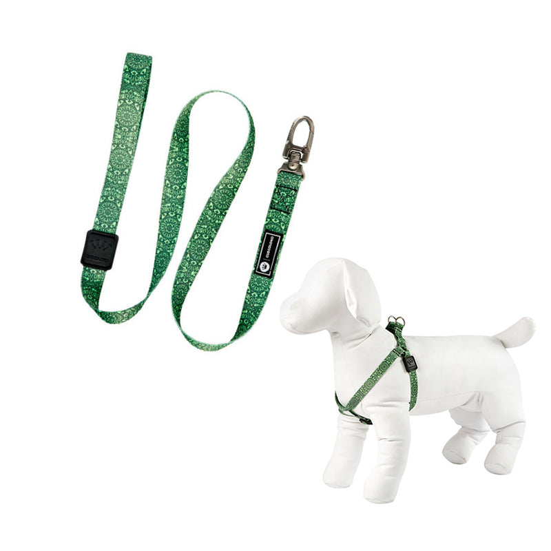 Peitoral e Guia para Cachorros Mystic Jungle