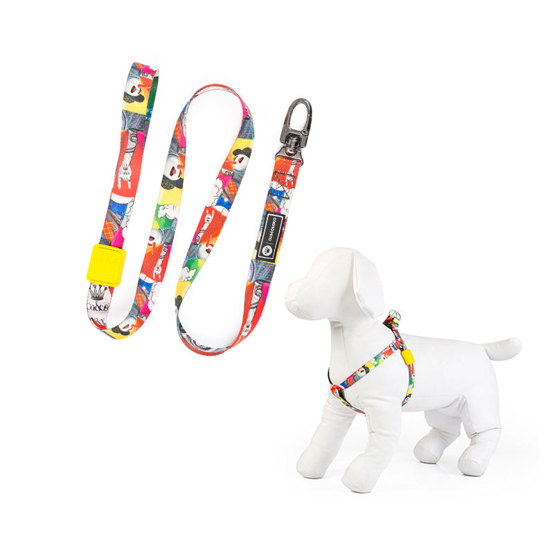 Peitoral e Guia para Cachorros Panito