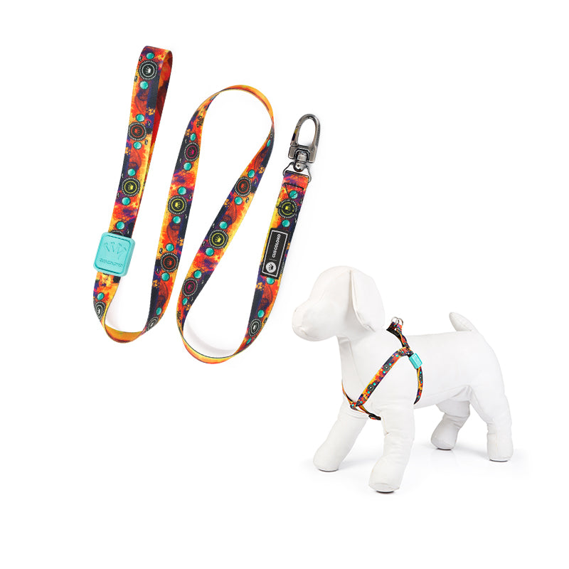 Peitoral e Guia para Cachorros Pax Splash
