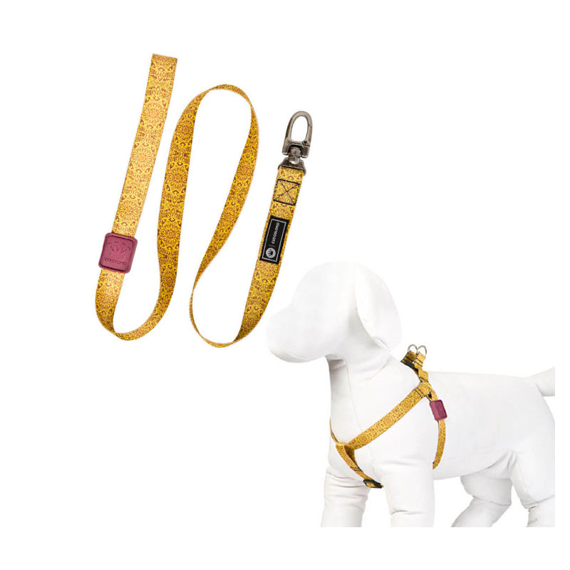 Peitoral e Guia para Cachorros Mystic