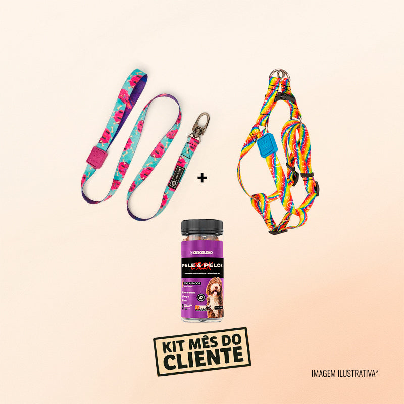 Kit 1 – Passeio Premium
